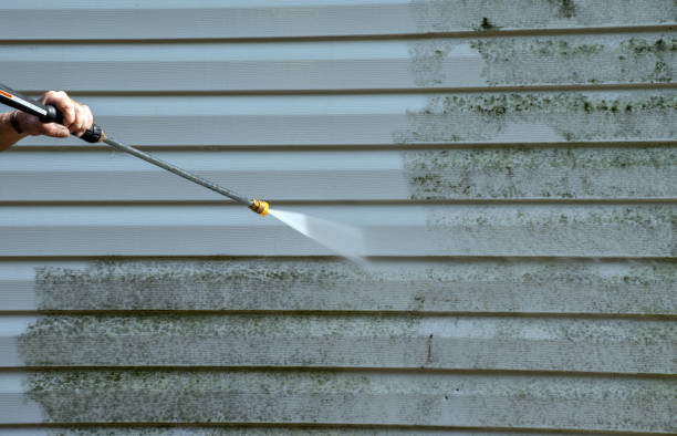 Best Gutter Cleaning  in Woodall, OK